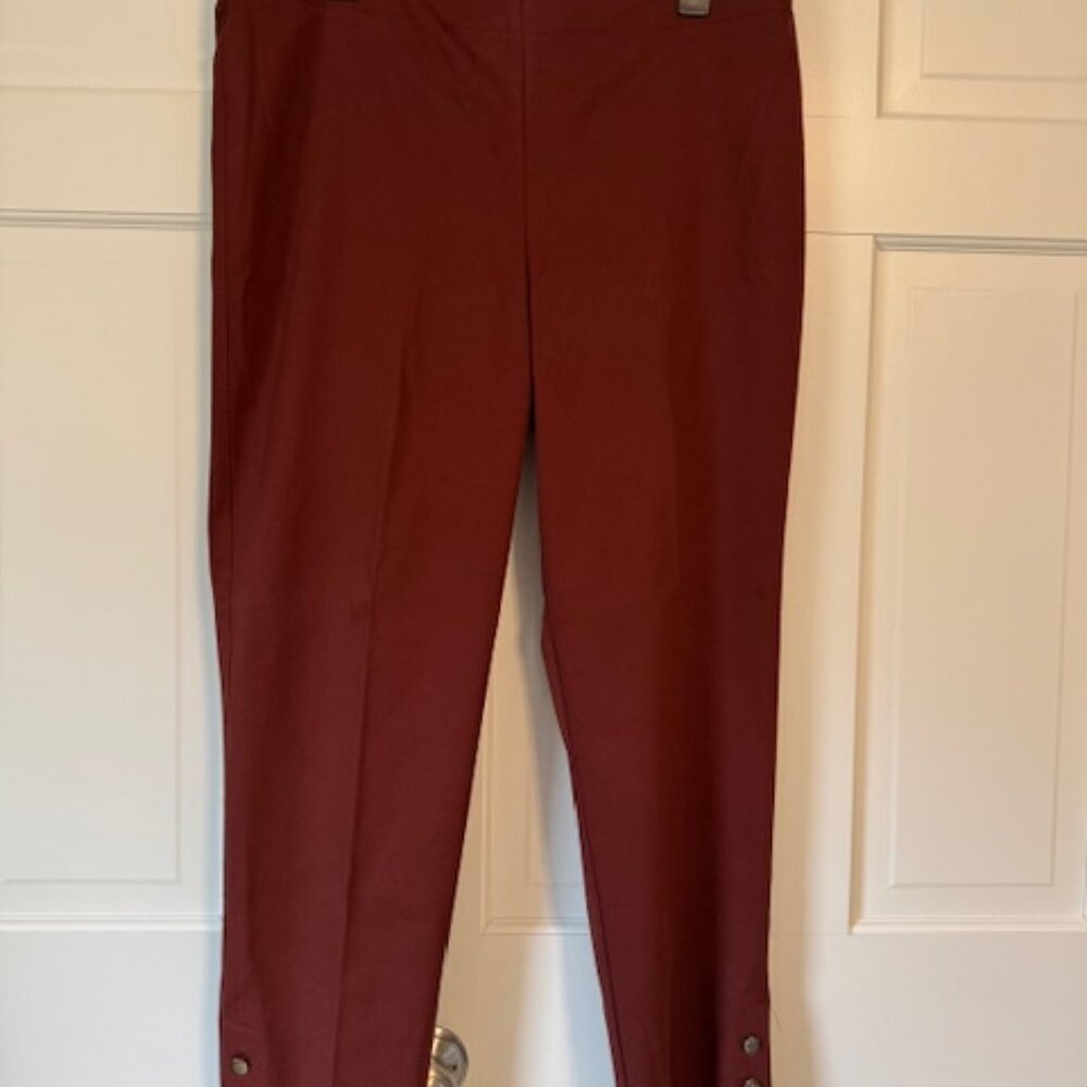 Vanheusen Size 16 Stretch Waist Rust Colored Pants Never Worn